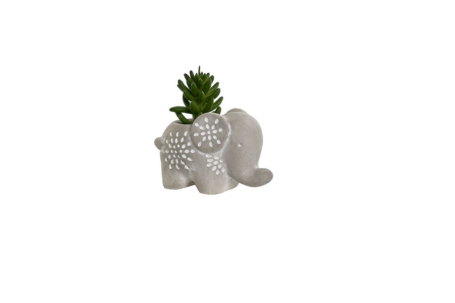 PLANTA CEMENTO PE 8X5X7 ELEFANTE